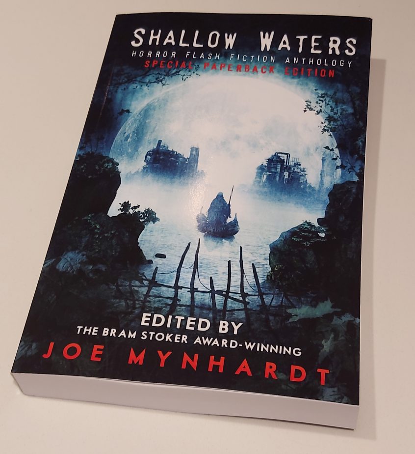 A photo of the Shallow Waters Anthology paperback showing a boat traveling across a misty lake towards two buildings. Designed to look like a skull. Really cool.